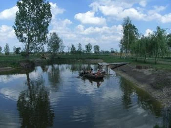 Vadvirágos Pihenőhely Mórahalom