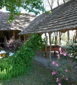 Vadvirágos Pihenőhely