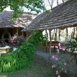 Vadvirágos Pihenőhely Mórahalom - Medence/kert