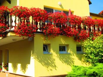 Panoráma Hotel Mosonmagyaróvár