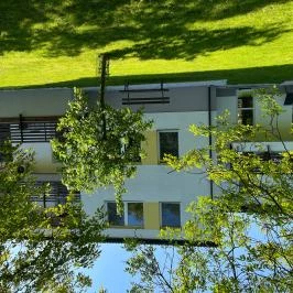 Suri Bau Apartman Mosonmagyaróvár - Medence/kert