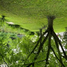 Suri Bau Apartman Mosonmagyaróvár - Medence/kert