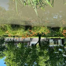 Suri Bau Apartman Mosonmagyaróvár - Medence/kert