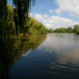 Trófea Vadászház és Hotel Nádudvar - Környék