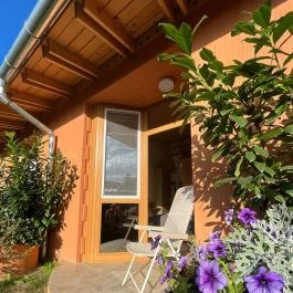 Luby Panzió Nagyar - Medence/kert