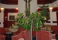 Solar Étterem Nagyatád