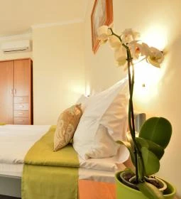 Wellness Hotel Viktória