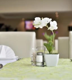 Wellness Hotel Viktória