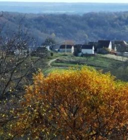 Harmónia Vendégház Nagybakónak