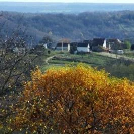 Harmónia Vendégház Nagybakónak Nagybakónak - Egyéb