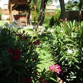 Padláskincsek Vendégház Nagybörzsöny - Egyéb