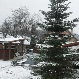 Padláskincsek Vendégház Nagybörzsöny - Egyéb