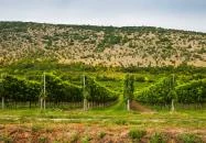 Nagyharsány - Kopár-dűlő