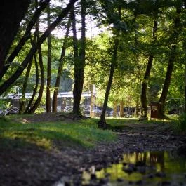Kőkapu Vadászkastély és Hotel & Apartments Nagyhuta - Külső kép