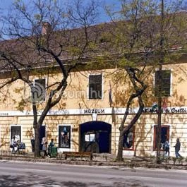 Thúry György Múzeum Nagykanizsa - Egyéb