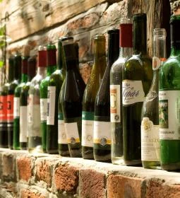 Hotel Szőlőskert Fogadó