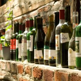 Hotel Szőlőskert Fogadó Nagykanizsa - Vendéglátás