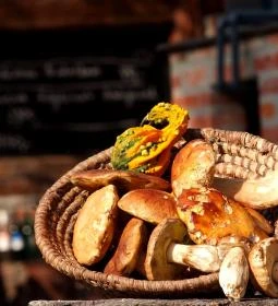 Hotel Szőlőskert Fogadó