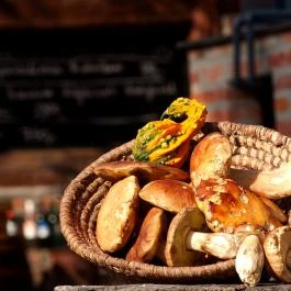 Hotel Szőlőskert Fogadó Nagykanizsa - Egyéb