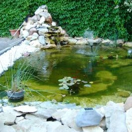 Oázis Hotel Nagykanizsa - Medence/kert