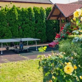 Oázis Hotel Nagykanizsa - Medence/kert