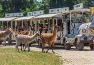 Nagykőrös - Richter Safari Park