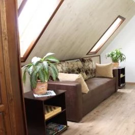 Zsunypatak Vendégház Nagylóc - Egyéb