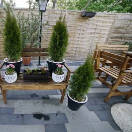 Tókert Fogadó Nagymányok - Medence/kert