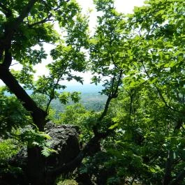 Tókert Fogadó Nagymányok - Egyéb