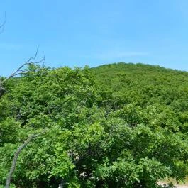 Tókert Fogadó Nagymányok - Egyéb