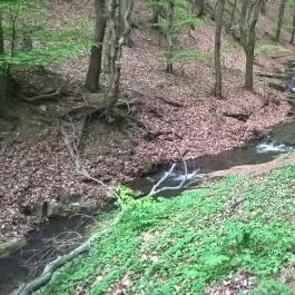 Tókert Fogadó Nagymányok - Egyéb