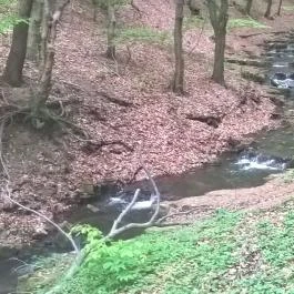 Tókert Fogadó Nagymányok - Egyéb