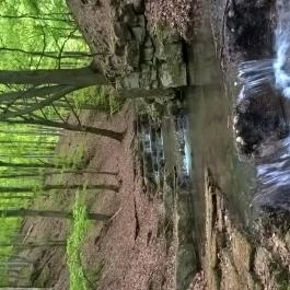 Tókert Fogadó Nagymányok - Egyéb