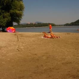 Dunapart Villa Nagymaros - Egyéb