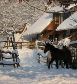 Királykúti Lovasporta