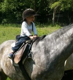 Királykúti Lovasporta