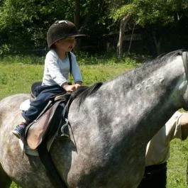 Királykúti Lovasporta Nagymaros - Szórakozás/Sport