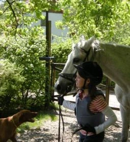 Királykúti Lovasporta