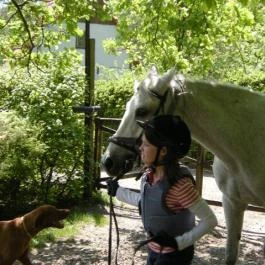 Királykúti Lovasporta Nagymaros - Szórakozás/Sport