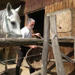 Királykúti Lovasporta Nagymaros - Szórakozás/Sport