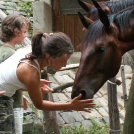 Királykúti Lovasporta Nagymaros - Szórakozás/Sport