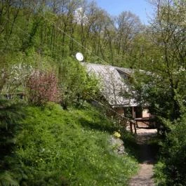 Királykúti Lovasporta Nagymaros - Medence/kert