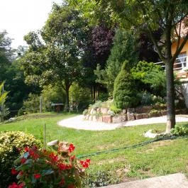 Moson Patak Vendégház Nagymaros - Medence/kert