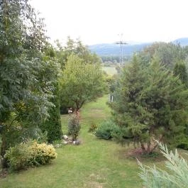 Moson Patak Vendégház Nagymaros - Medence/kert