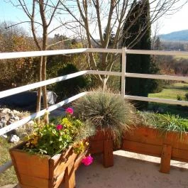 Moson Patak Vendégház Nagymaros - Egyéb