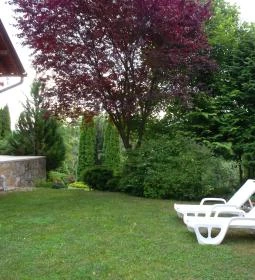 Moson Patak Vendégház