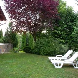 Moson Patak Vendégház Nagymaros - Medence/kert