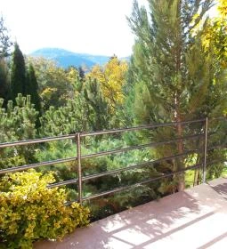 Moson Patak Vendégház