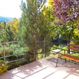 Moson Patak Vendégház Nagymaros - Környék