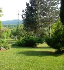 Moson Patak Vendégház